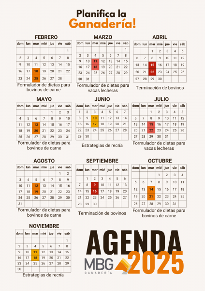 0_1_agenda-2025.png
